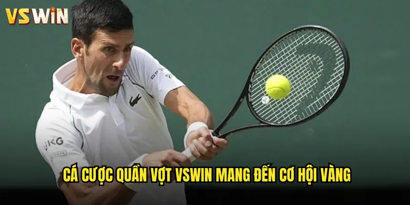 Quần Vợt Đẳng Cấp Quốc Tế Cùng VSWIN Sân Chơi Cá Cược Số Một 3 Cá cược quần vợt VSWIN mang đến cơ hội vàng