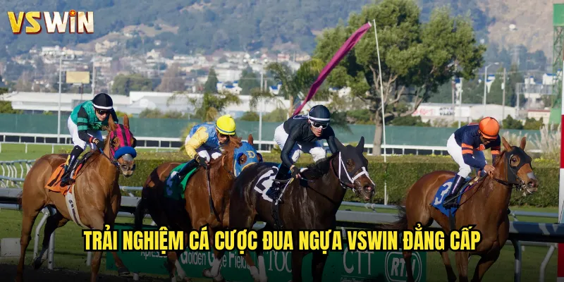 Đua Ngựa Hoàng Gia Tại VSWIN Thế Giới Cá Cược Sang Trọng Bậc Nhất 3 Trải nghiệm cá cược đua ngựa VSWIN đẳng cấp
